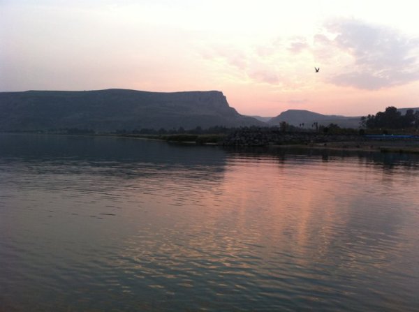 166452_918136649727_3357451_n